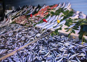 Havaların ısınmasıyla balık fiyatları düştü