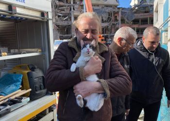 Galeria Sitesi’nde 12 kedi kurtarıldı