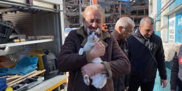 Galeria Sitesi’nde 12 kedi kurtarıldı