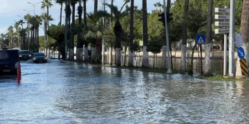 İskenderun’daki suların sebebi açıklandı