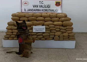 Narkotik köpeği ‘Kaşkol’ 486 kilo esrar buldu