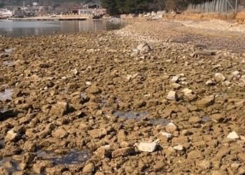 Saros Körfezi’nde deniz suyu çekildi