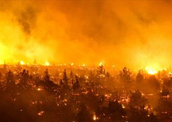 Şili’de orman yangını! Can kaybı 13’e yükseldi