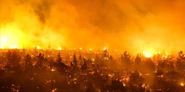 Şili’de orman yangını! Can kaybı 13’e yükseldi