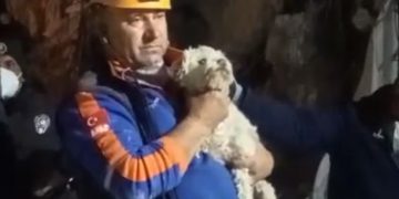 Hatay’da depremin 25. gününde bir köpek canlı kurtarıldı