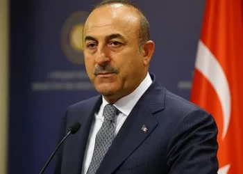 Dışişleri Bakanı Mevlüt Çavuşoğlu Azerbaycanlı mevkidaşı ile görüştü