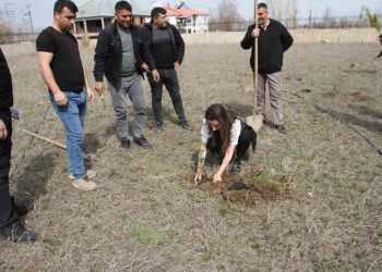 Muş Malazgirt'te cumhuriyet savcıları fidan dikti Muş Malazgirt’te cumhuriyet savcıları fidan dikti