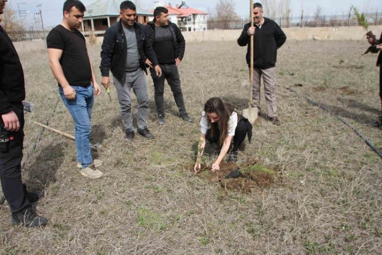 Mus Malazgirtte cumhuriyet savcilari fidan dikti Habermeydan