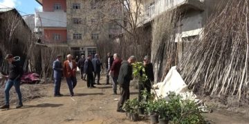 Muş’ta havaların erken ısınmasıyla fidan satışları başladı