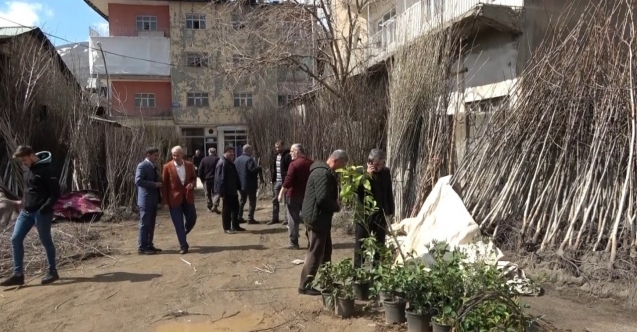 Musta havalarin erken isinmasiyla fidan satislari basladi habermeydan