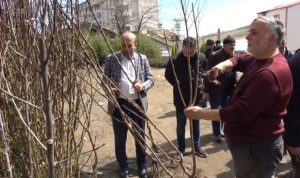 Musta havalarin erken isinmasiyla fidan satislari basladi1 Habermeydan