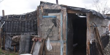 Sinop’ta naylon kaplı barakada yaşam mücadelesi veriyor