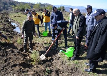 Sinop Türkeli’de depremde hayatını kaybedenler için 200 fidan dikildi