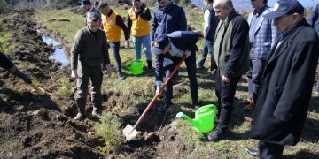 Sinop Türkeli’de depremde hayatını kaybedenler için 200 fidan dikildi