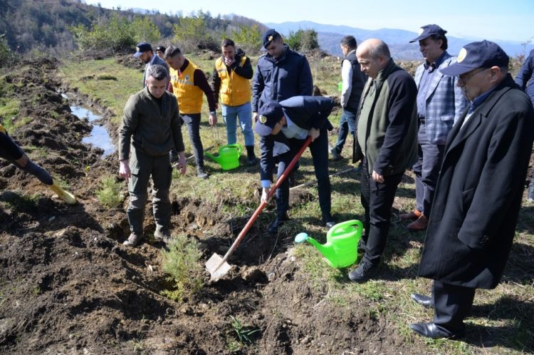 Sinop Turkelide depremde hayatini kaybedenler icin 200 fidan dikildi Habermeydan