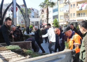 Sinop Türkeli’de vatandaşlara 6 bin fidan dağıtıldı