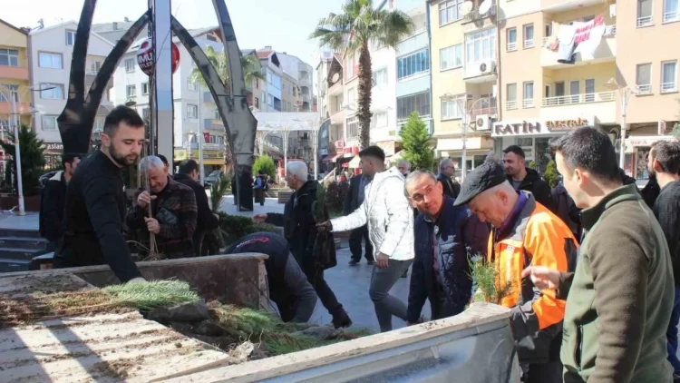 Sinop Turkelide vatandaslara 6 bin fidan dagitildi Habermeydan