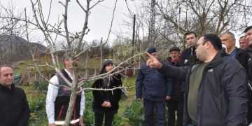 Sinop’ta çiftçilere budama eğitimi verildi