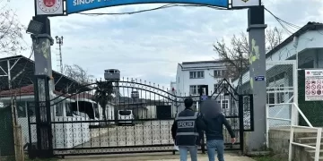 Sinop’ta dolandırıcılık suçundan aranan şahıs yakalandı