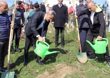Sinop’un Abalı köyünde “6 Şubat Deprem Şehitleri Hatıra Ormanı” fidan dikim töreni