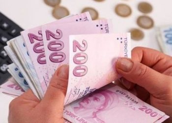 Türkiye Aile Destek Programı ödemeleri bugün yatıyor