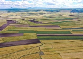 Arsaya talepte yüzde 200 artış