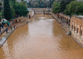 Balıklı Göl’ün balıklarına ne oldu?