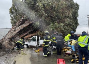 Mississippi’de hortum: En az 23 kişi hayatını kaybetti