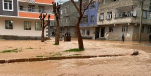 urfa da sel habermeydan