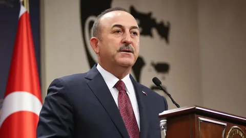 Disisleri Bakani Mevlut Cavusoglu habermeydan