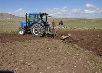 Muş Bulanık’ta etkili olan yağışlar çiftçinin yüzünü güldürdü