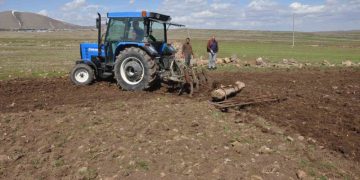 Muş Bulanık’ta etkili olan yağışlar çiftçinin yüzünü güldürdü
