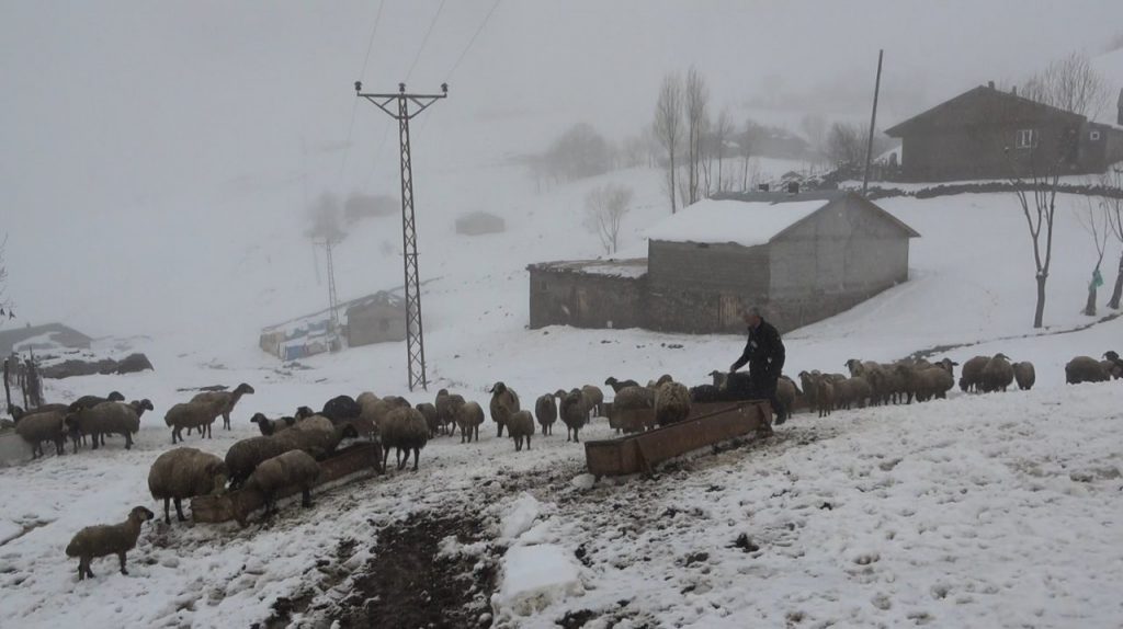 Musta Nisan ayinda Kar geri geldi Habermeydan