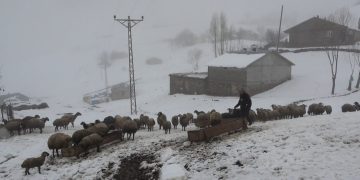 Muş’ta Nisan ayında kar geri geldi
