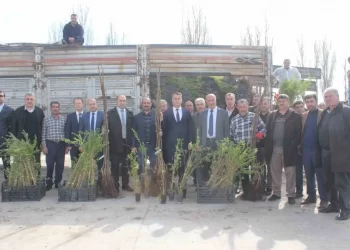 Muş’ta çiftçilere meyve fidanı dağıtıldı