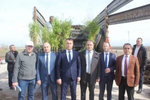 Musta ciftcilere meyve fidani dagitildi1 Habermeydan