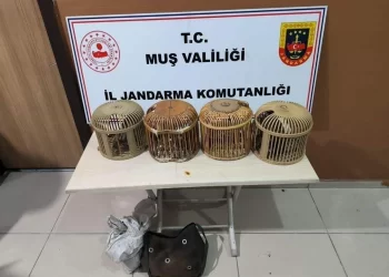 Muş’ta kaçak avcılar jandarmaya yakalandı