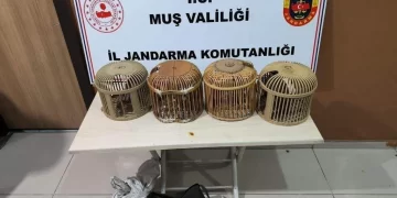 Muş’ta kaçak avcılar jandarmaya yakalandı