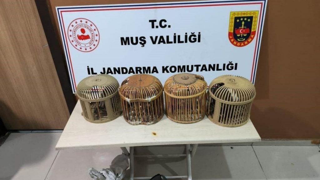 Musta kafes avciligi yapan 2 kisiye 24 bin 916 lira ceza Habermeydan