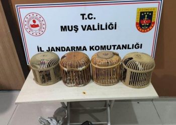 Muş’ta kafes avcılığı yapan 2 kişiye 24 bin 916 lira ceza