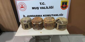 Muş’ta kafes avcılığı yapan 2 kişiye 24 bin 916 lira ceza
