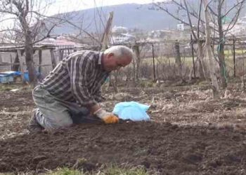 Muş’un Karabey köyünde bahar hazırlıkları başladı