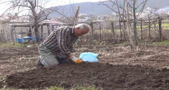 Musun Karabey koyunde bahar hazirliklari basladi Habermeydan