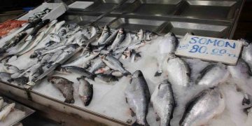 Sinop’ta balık tezgahlarını havuz balıkları süslüyor