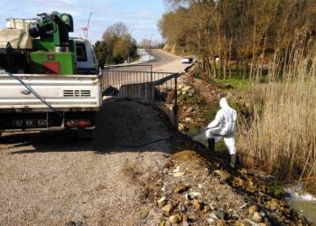 Sinop’ta ilaçlama çalışmaları başlatıldı