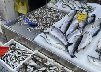 Sinop’ta mezgit ve somon Ramazan ayının vazgeçilmezi oldu