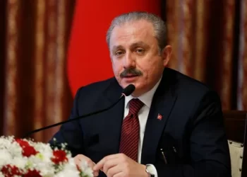 TBMM Başkanı Şentop: Büyük ve güçlü Türkiye yolunda kararımızı vereceğiz