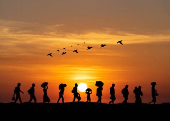 TÜİK uluslararası göç verilerini açıkladı