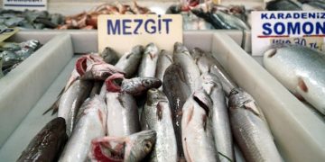 İftarda mezgit ve somona rağbet