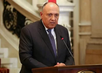 Mısır Dışişleri Bakanı’ndan Türkiye’ye kritik ziyaret